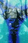 Deforest