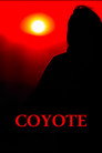 Coyote
