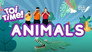 Animals
