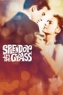 Poster for Splendor in the Grass