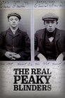 The Real Peaky Blinders Episode Rating Graph poster