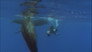 Survival at Sea and Beyond