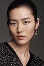 Liu Wen