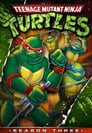 Teenage Mutant Ninja Turtles - seizoen 3