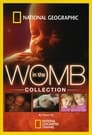 In the Womb poster