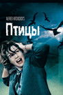 Постер: Птицы