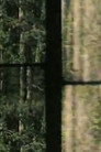 Arbres