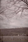 The Road, Chapter 1: Winter
