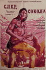 Постер: След Сокола