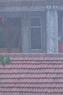 The Rain in a New Place