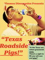 Texas Roadside Pigs!