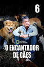 Temporada 6