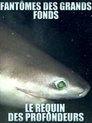 Fantômes des grands fonds – Requins des profondeurs