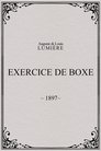 Exercice de boxe