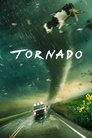 Imagen Tornado 1996