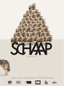 Schaap