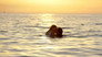Beach Back