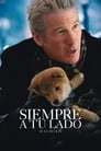 Imagen Hachiko: Siempre a su Lado