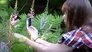 Nature Calls