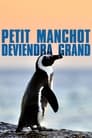 Petit Manchot deviendra grand