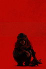 Primate