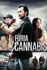 Fúria Cannabis