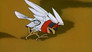 Attack of the Saucer Crab / The Rock Pygmies / Space Birds