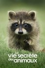 La Vie secrète des animaux