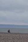 Winter views from Le Havre