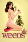 Weeds - Kleine Deals unter Nachbarn (2005)