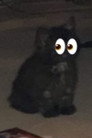 Sooty