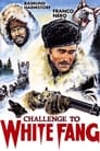 Challenge to White Fang