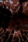 ...seven parts...