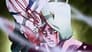 Image JoJo's Bizarre Adventure