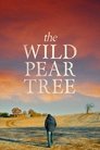 Poster for The Wild Pear Tree