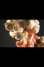 A Movie About Candy