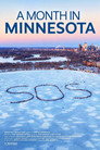 A Month In Minnesota
