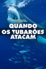 Temporada 6