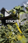 Synoptic