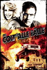Ein Colt für alle Fälle (1981)