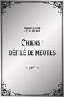 Chiens : défilé de meutes