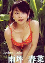 雨坪春奈 / Spring Color