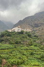 سراة عبيده