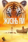 Постер: Life of Pi