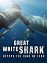 Requins blancs : Le grand malentendu ?