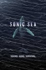 Poster for Sonic Sea