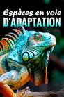 Espèces en voie d'adaptation (2023) - Affiche