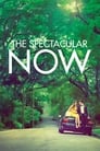 Movie poster for The Spectacular Now