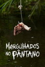 Temporada 8