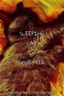 sleeping cat in november